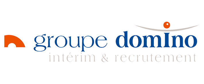 logo groupe domino