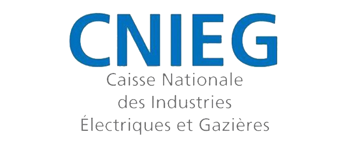 logo cnieg