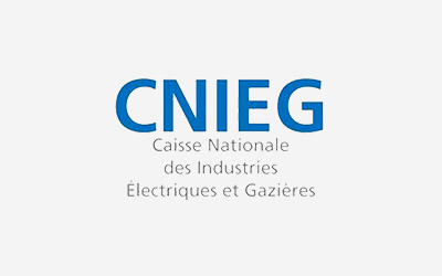 Logo CNIEG
