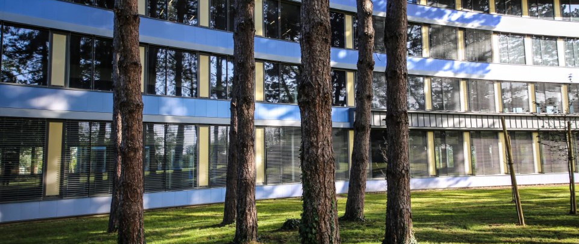 LOCATION DE BUREAUX NEUFS DANS UN IMMEUBLE INNOVANT A ENERGIE POSITIVE