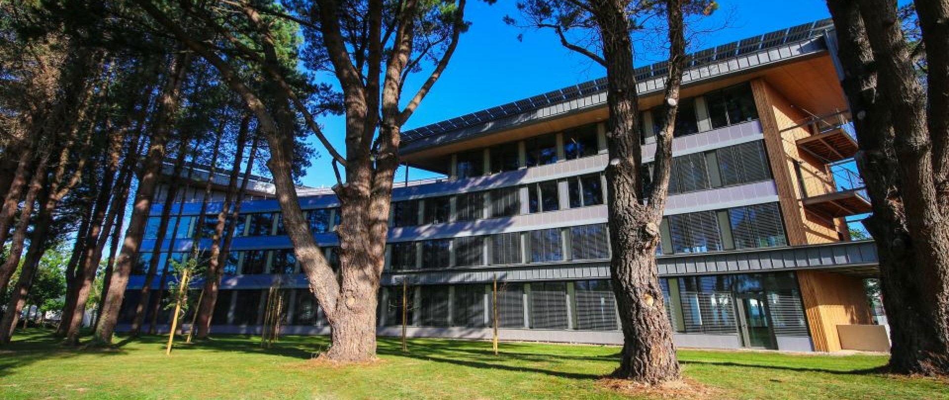 LOCATION DE BUREAUX NEUFS DANS UN IMMEUBLE INNOVANT A ENERGIE POSITIVE